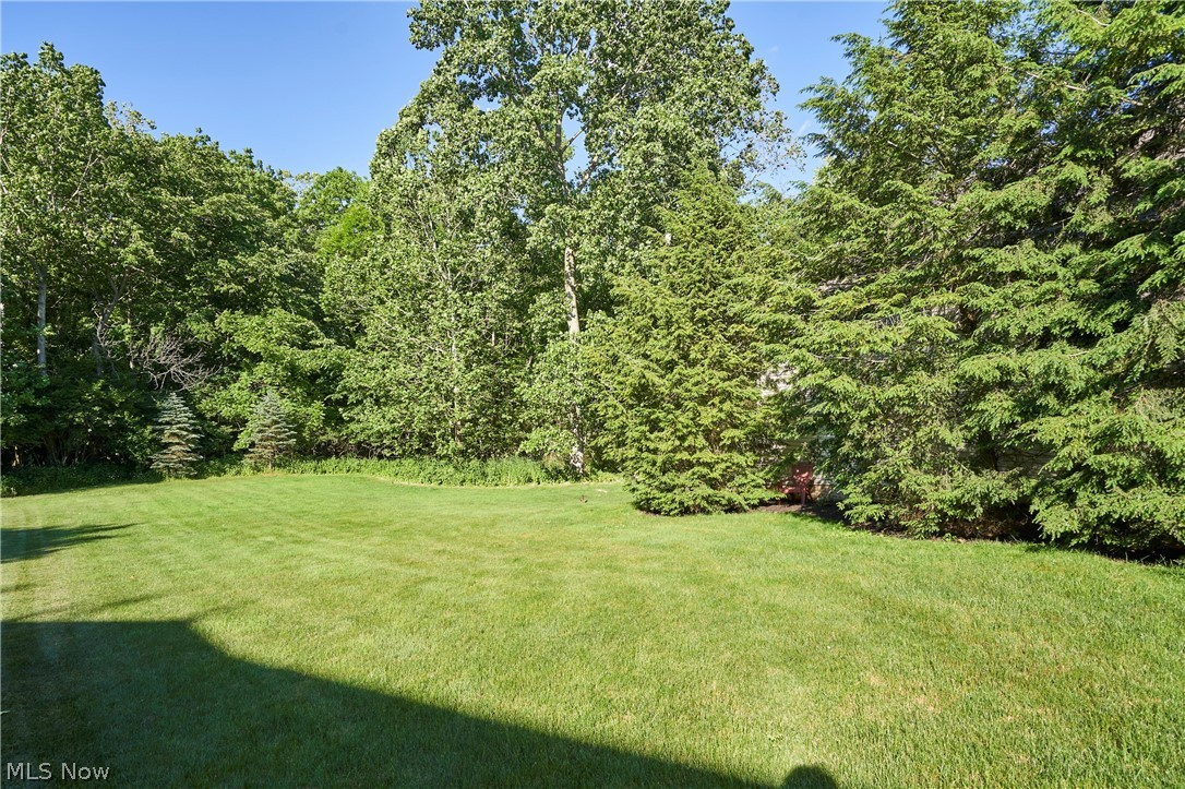 4068 Forest Run Circle Medina OH 44256