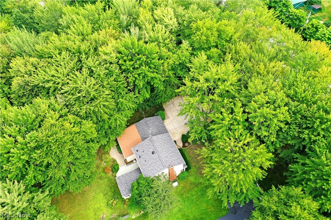 1097 Center Street E Warren OH 44481