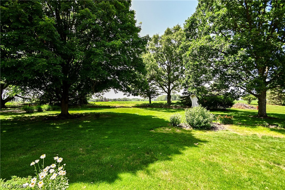 11937 Basswood Avenue NW Uniontown OH 44685