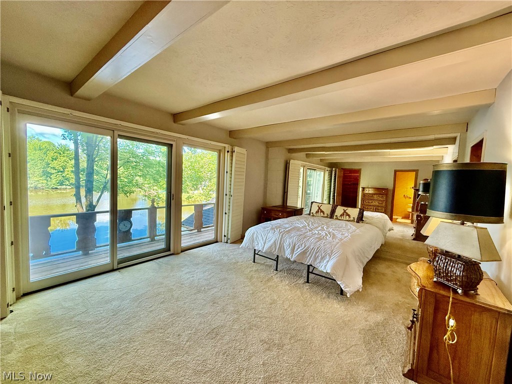 17956 Elliott Drive Chagrin Falls OH 44023