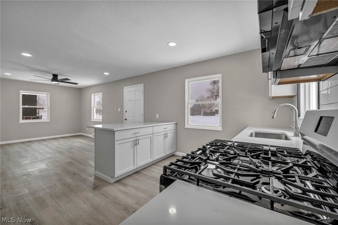 4131 W 145th Street Cleveland OH 44135