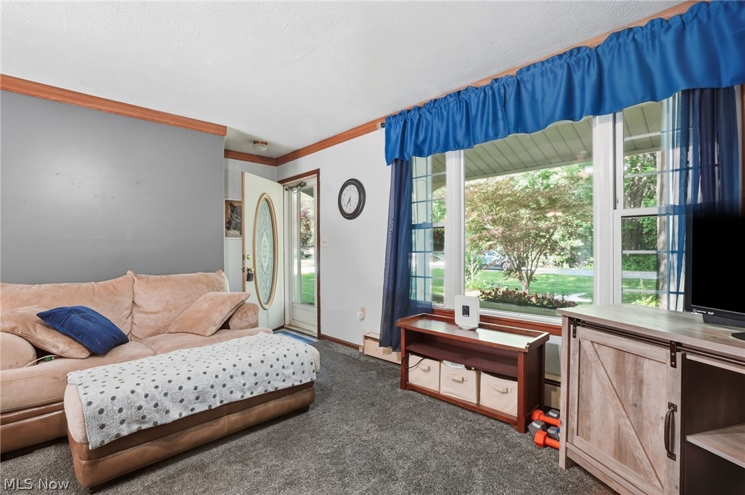 6869 Arlene Drive Conneaut OH 44030