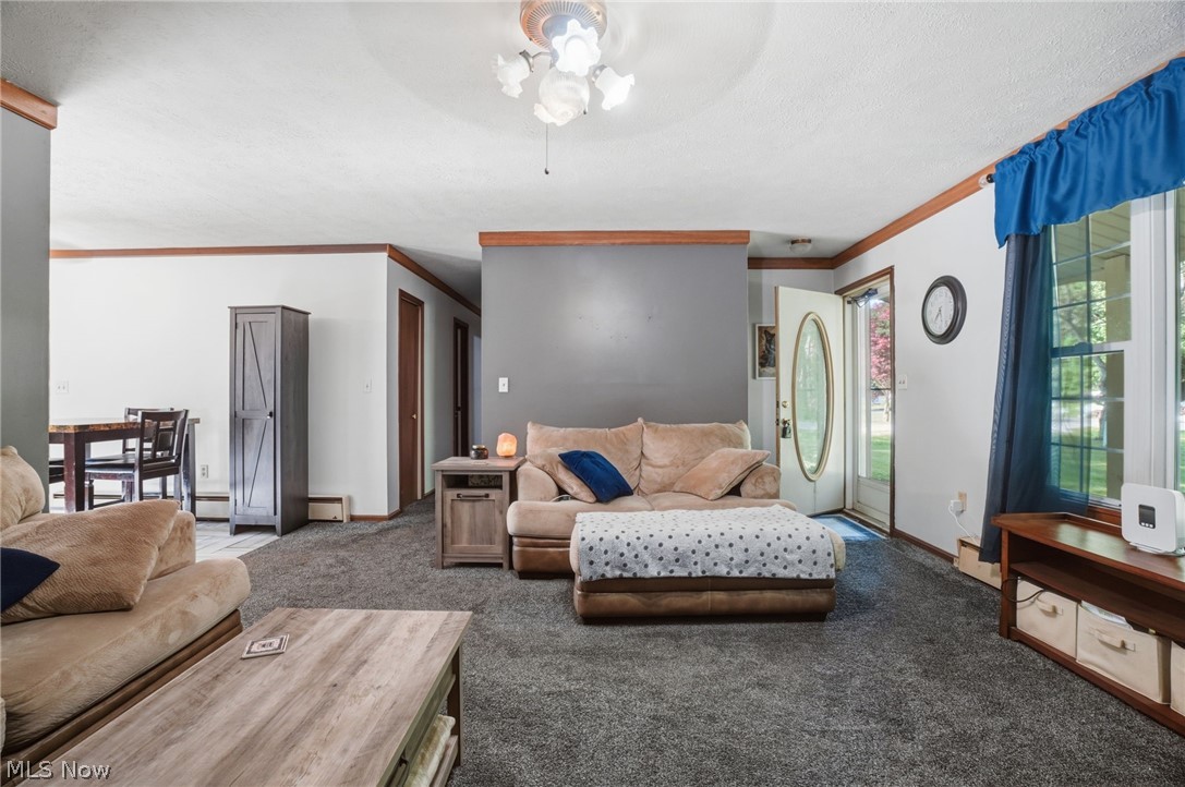 6869 Arlene Drive Conneaut OH 44030