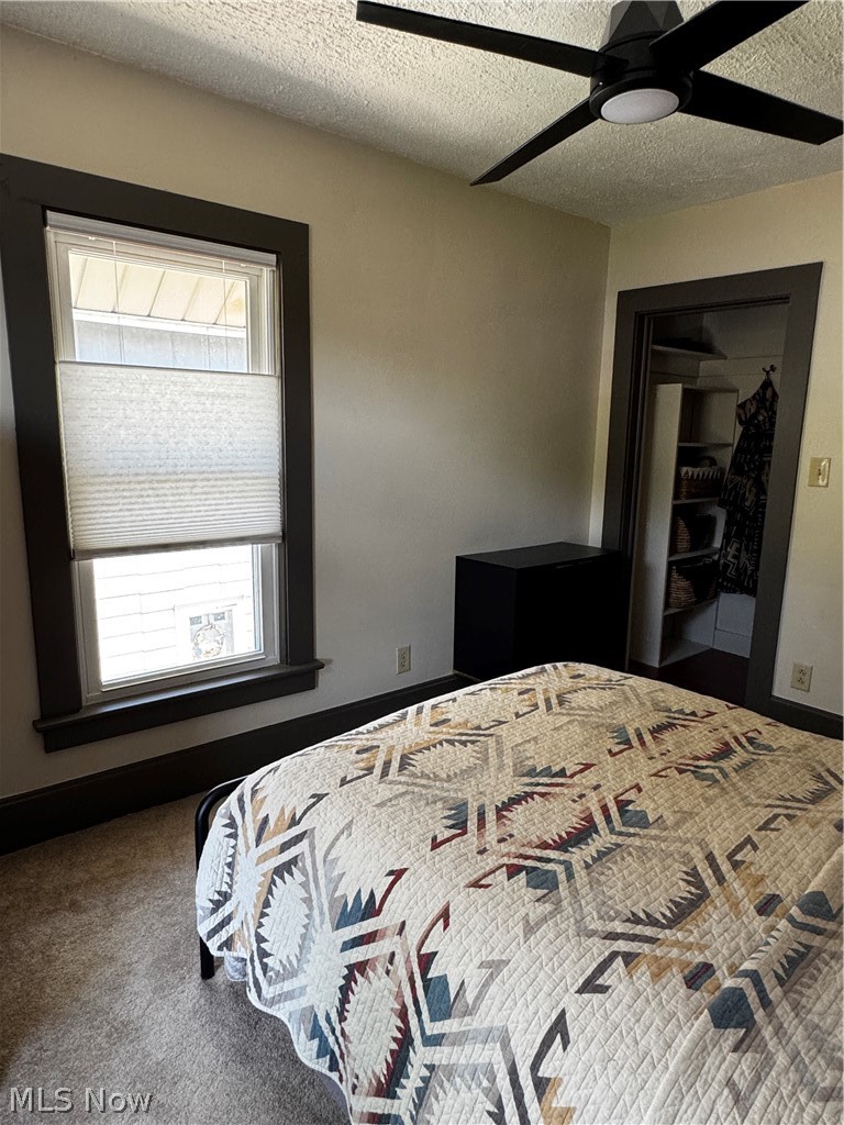 431 College Avenue Wooster OH 44691
