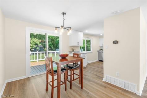 6396 Meldon Drive Mentor OH 44060
