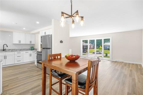 6396 Meldon Drive Mentor OH 44060