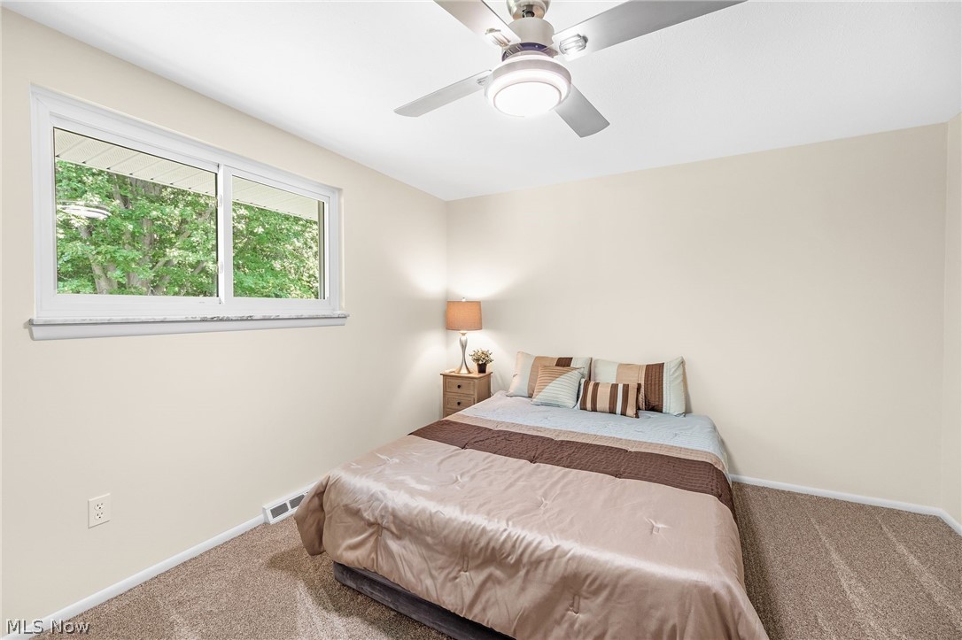 6396 Meldon Drive Mentor OH 44060