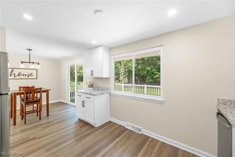 6396 Meldon Drive Mentor OH 44060