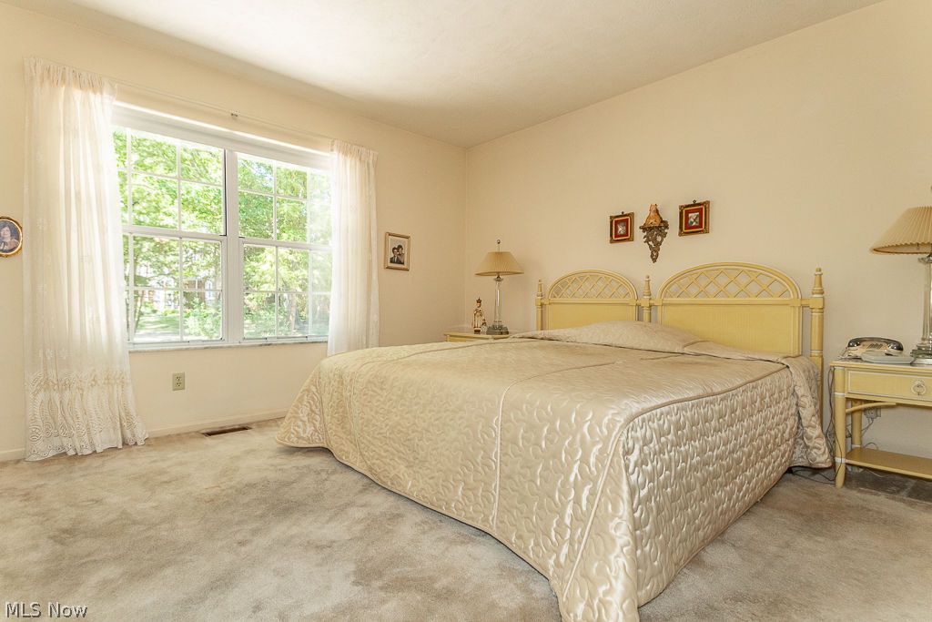 6064 Cabot Court Mentor OH 44060
