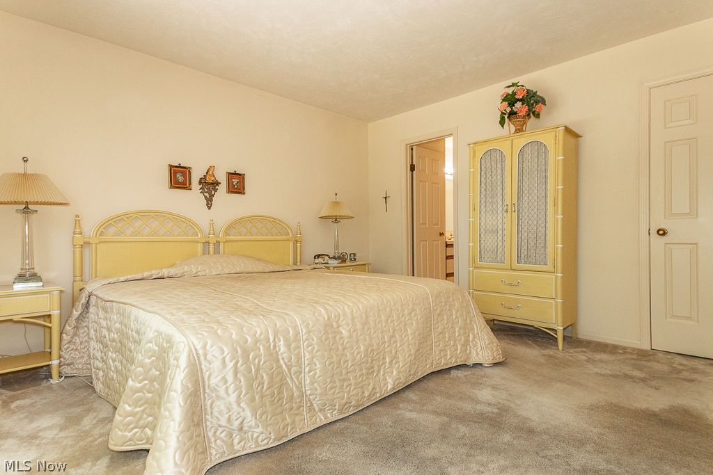 6064 Cabot Court Mentor OH 44060