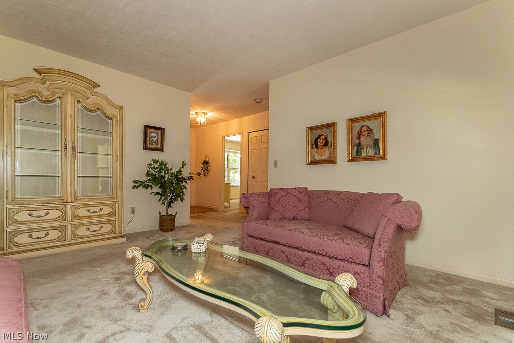 6064 Cabot Court Mentor OH 44060