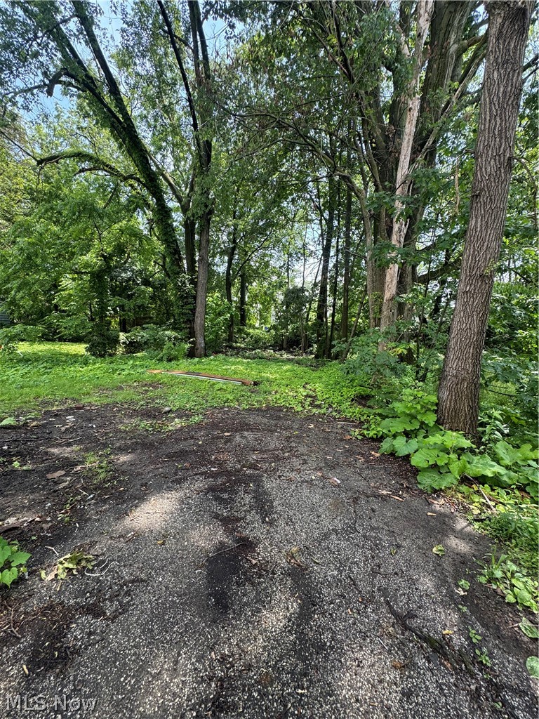 10604 Nelson Avenue Cleveland OH 44105