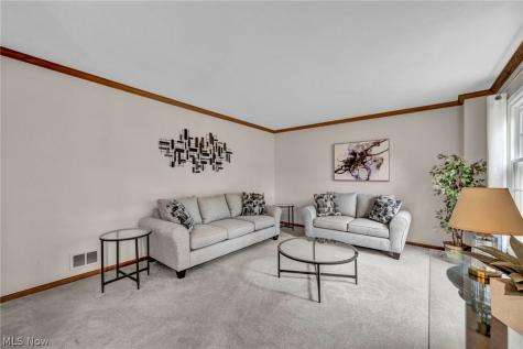 15249 Sassafras Drive Strongsville OH 44136