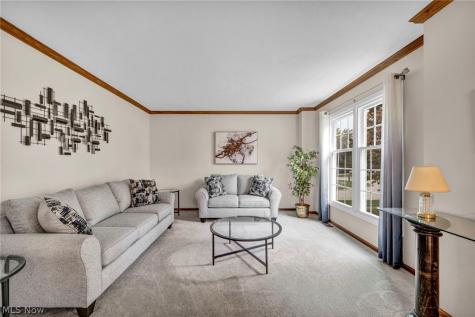 15249 Sassafras Drive Strongsville OH 44136