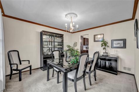 15249 Sassafras Drive Strongsville OH 44136