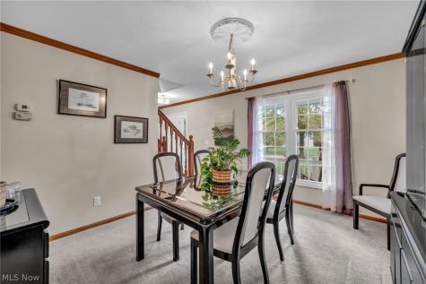 15249 Sassafras Drive Strongsville OH 44136