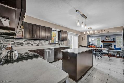 15249 Sassafras Drive Strongsville OH 44136
