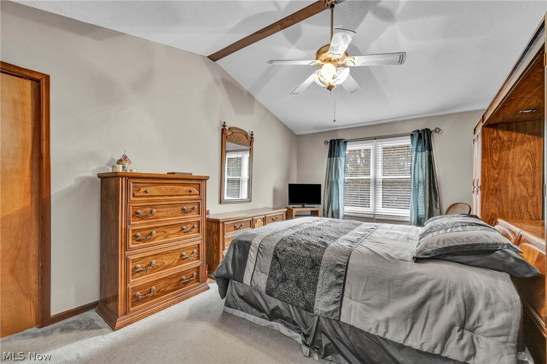15249 Sassafras Drive Strongsville OH 44136
