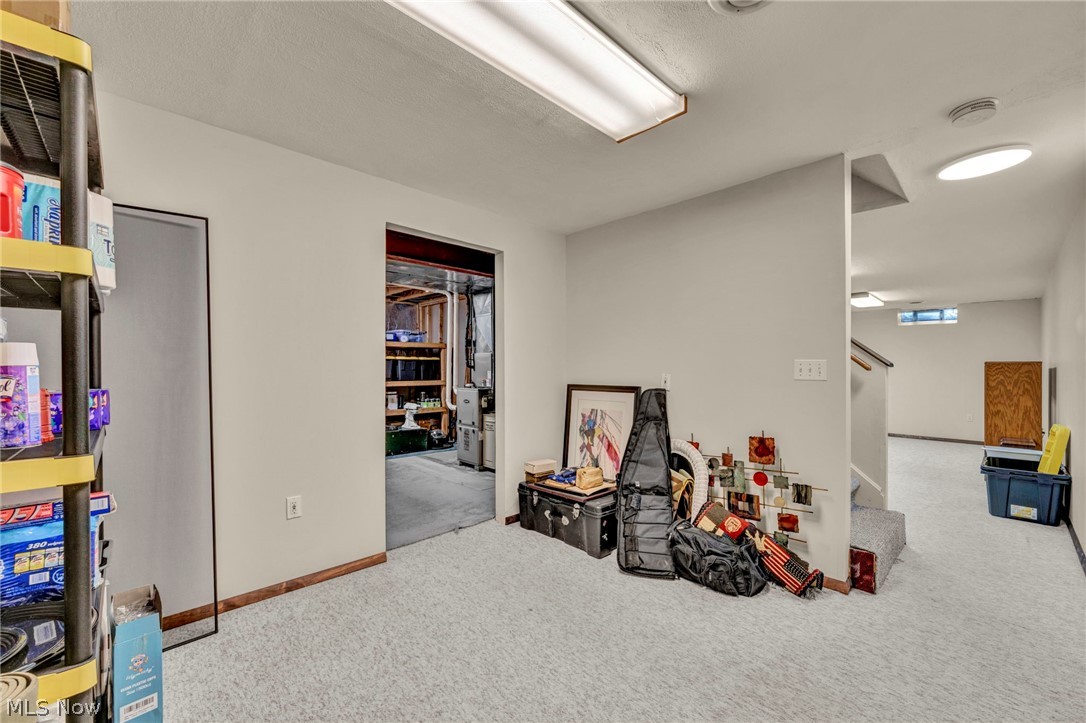 15249 Sassafras Drive Strongsville OH 44136