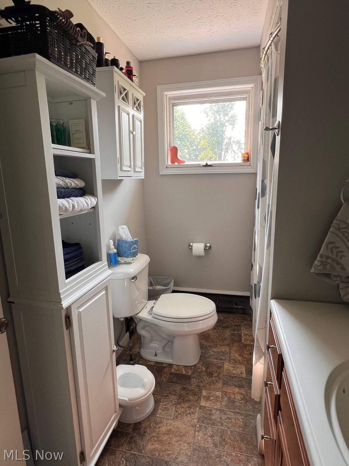13732 Vermilion Road Amherst OH 44001