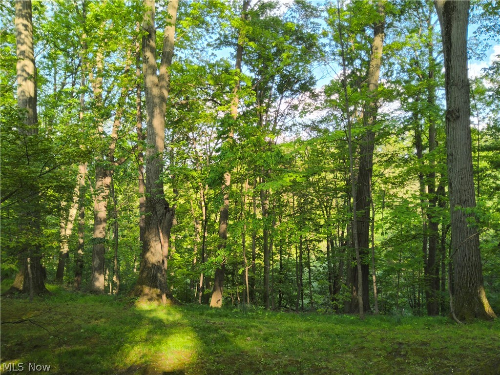 35970 Timber Ridge Lane Willoughby OH 44094