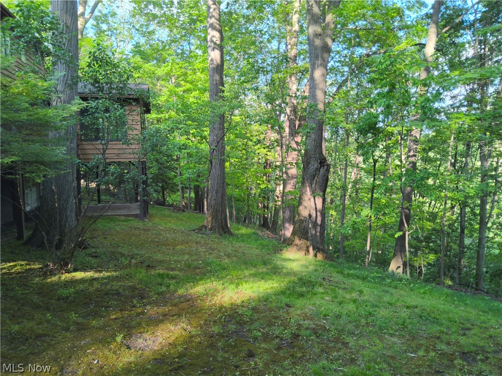 35970 Timber Ridge Lane Willoughby OH 44094