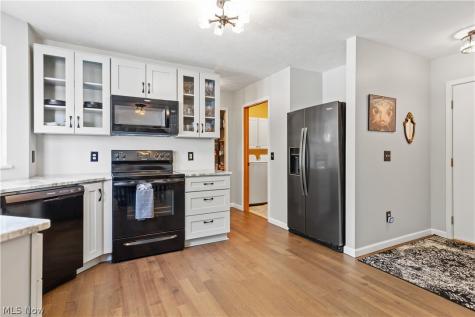 4461 Lockmoor Lane Brunswick OH 44212