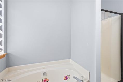 4461 Lockmoor Lane Brunswick OH 44212