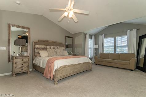 10138 Creekview Court Streetsboro OH 44241