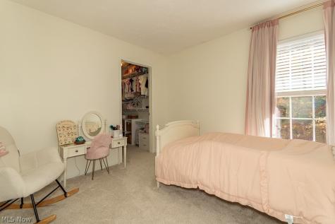 10138 Creekview Court Streetsboro OH 44241