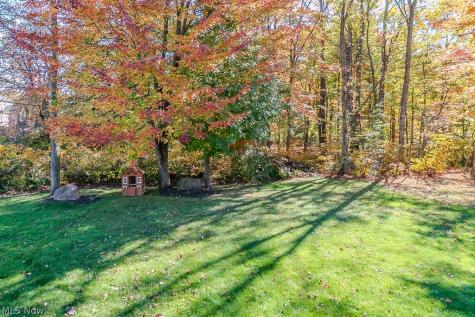 10138 Creekview Court Streetsboro OH 44241