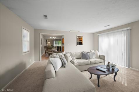 295 Cambridge Drive Aurora OH 44202