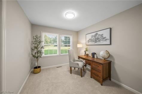 295 Cambridge Drive Aurora OH 44202