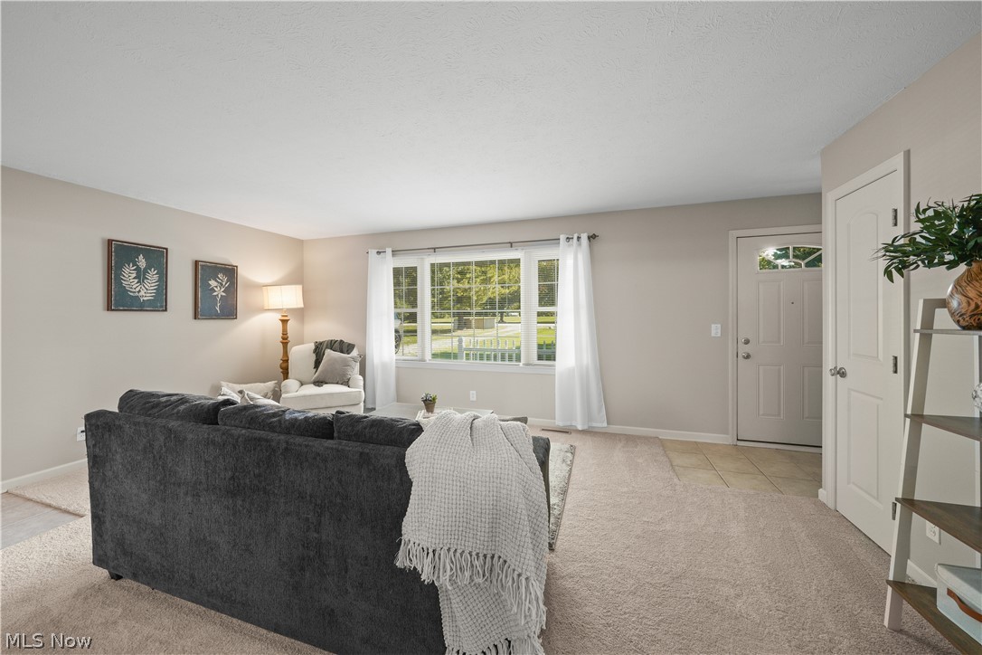 295 Cambridge Drive Aurora OH 44202