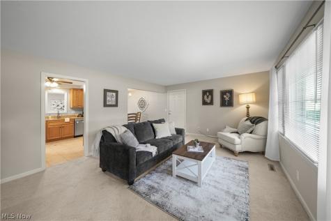 295 Cambridge Drive Aurora OH 44202