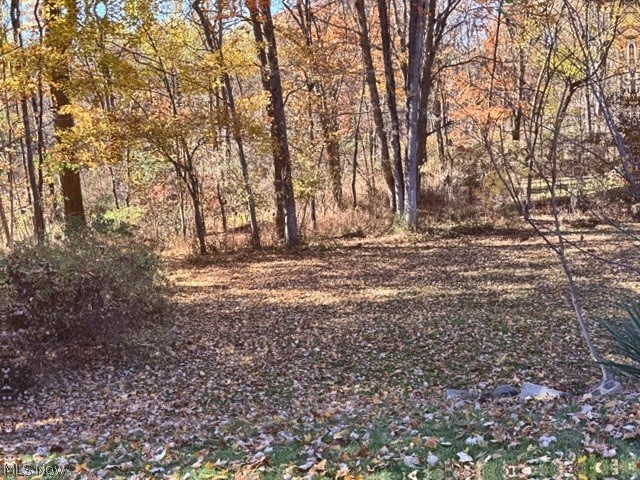 328 S Bon Air Avenue Youngstown OH 44509