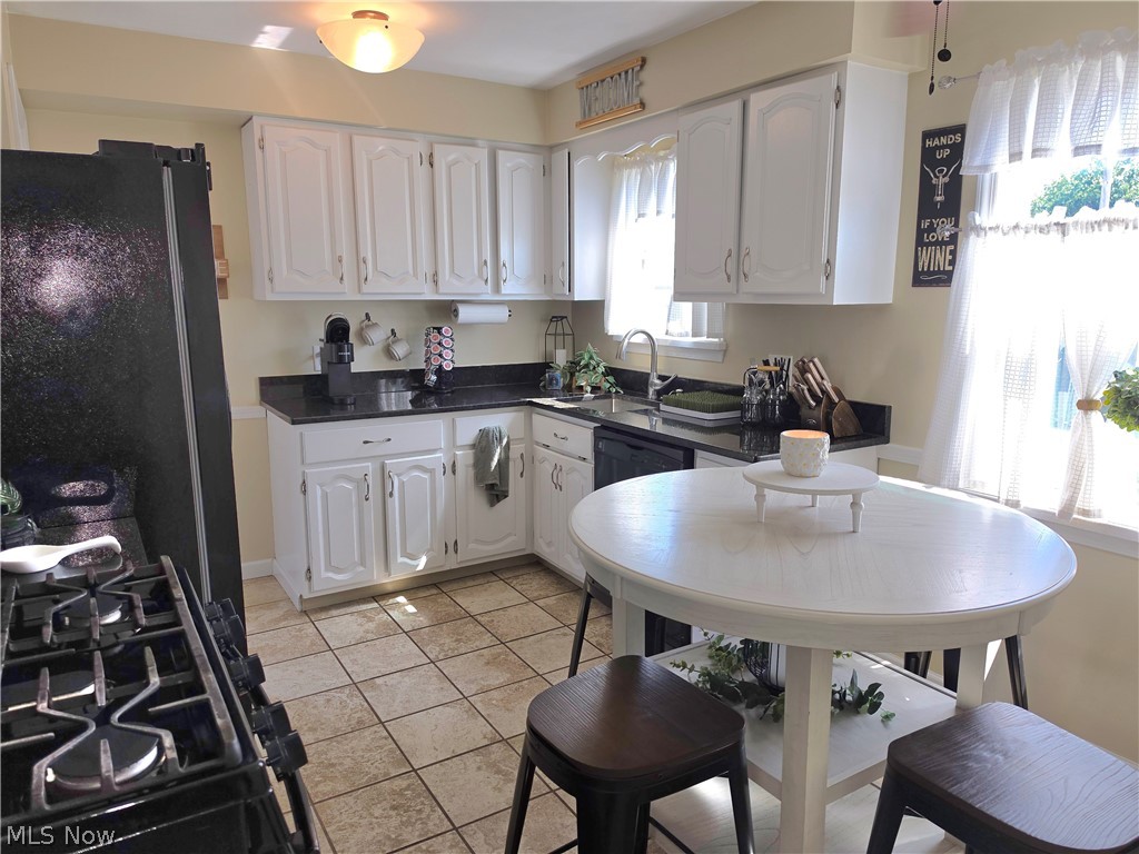 230 E 288th Street Willowick OH 44095