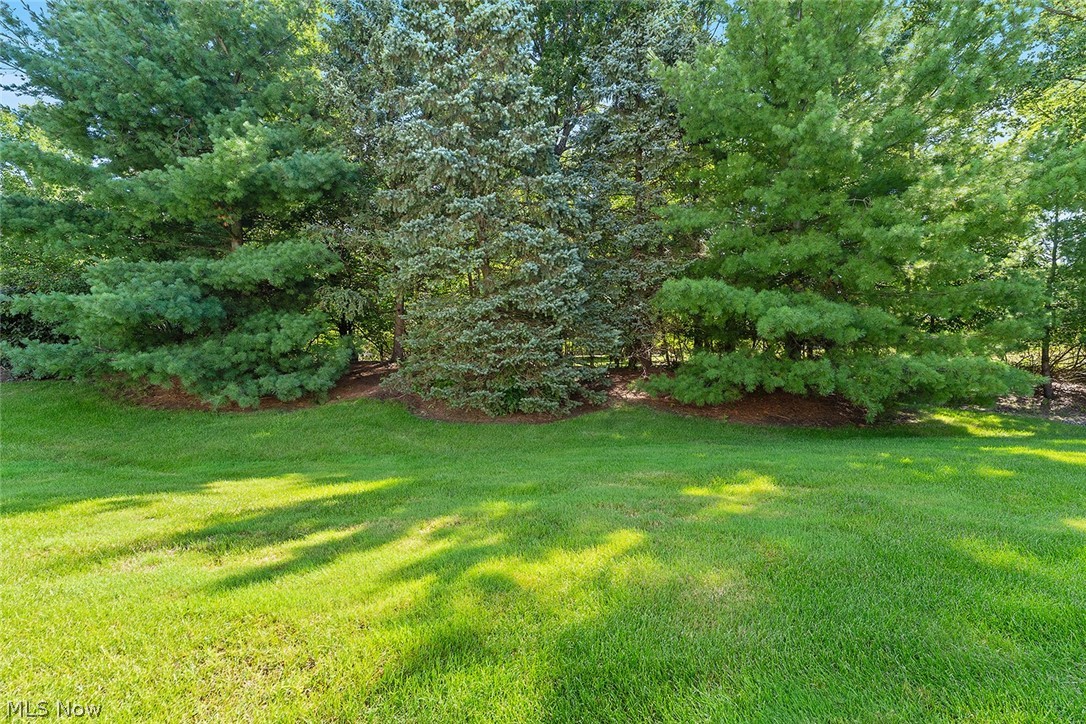 15249 Oak Hollow Lane Strongsville OH 44149