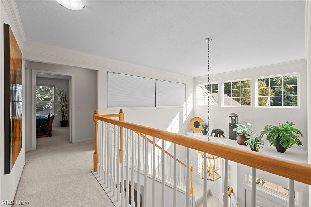 35760 Ithaca Drive Avon OH 44011