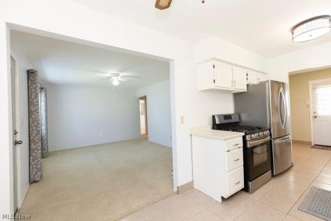 520 Ironwood Court Elyria OH 44035