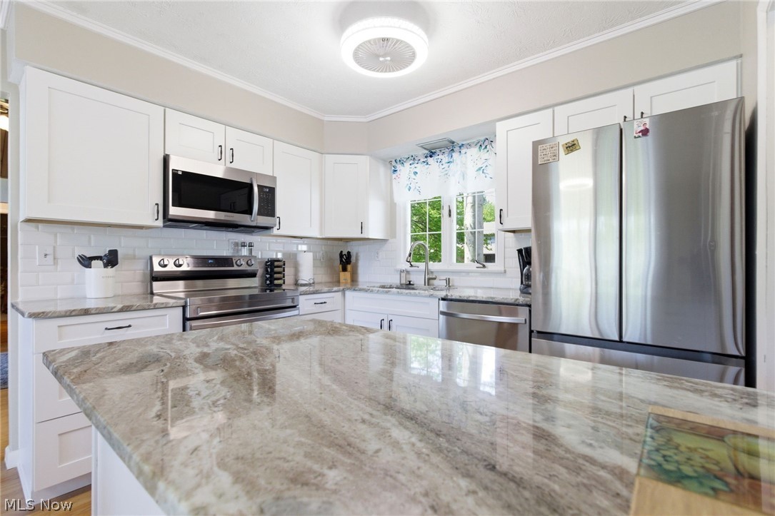 2410 Plum Creek Drive Roaming Shores OH 44084
