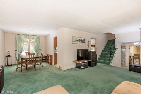 5134 Hickory Drive Cleveland OH 44124