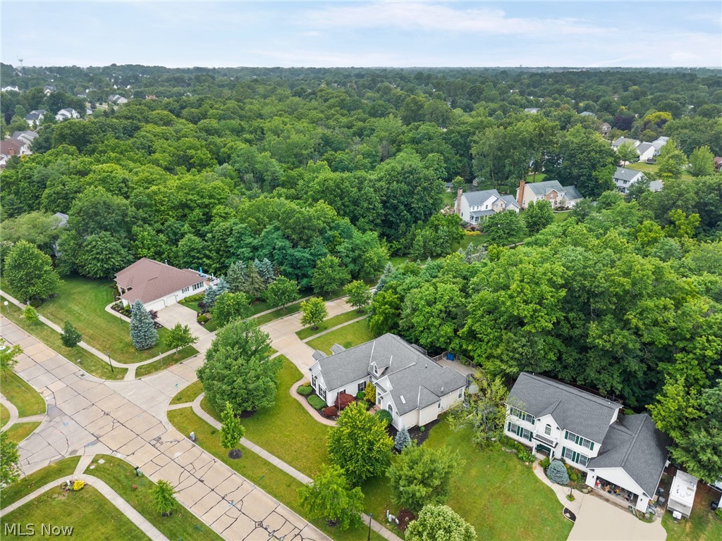 1109 Brandywine Medina OH 44256
