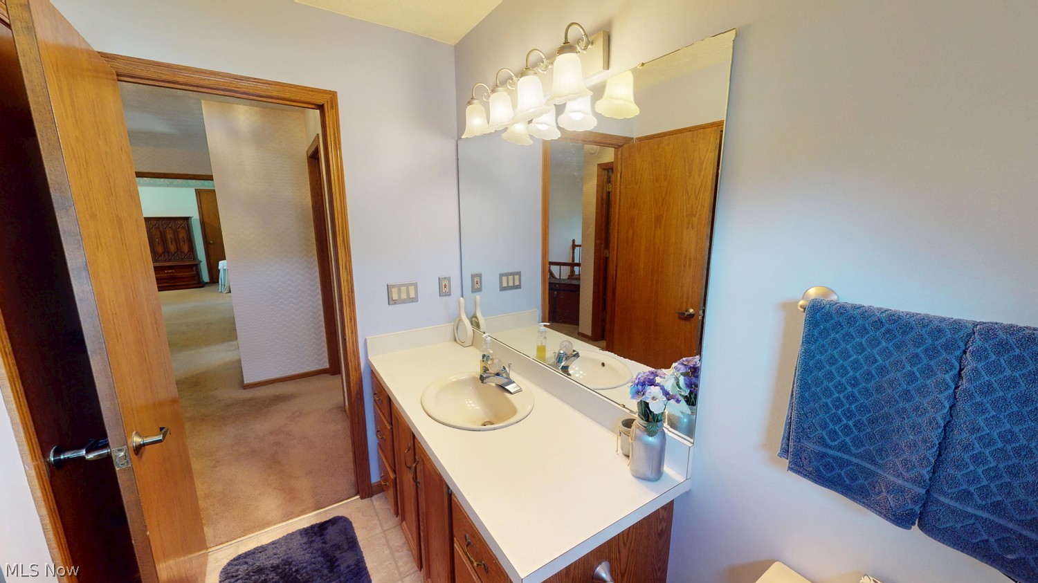 2450 Park Ridge Drive Hinckley OH 44233