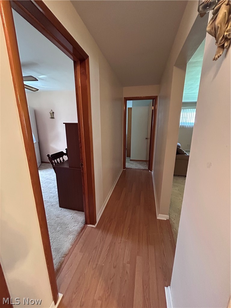 8300 Bear Road SE Amsterdam OH 43903