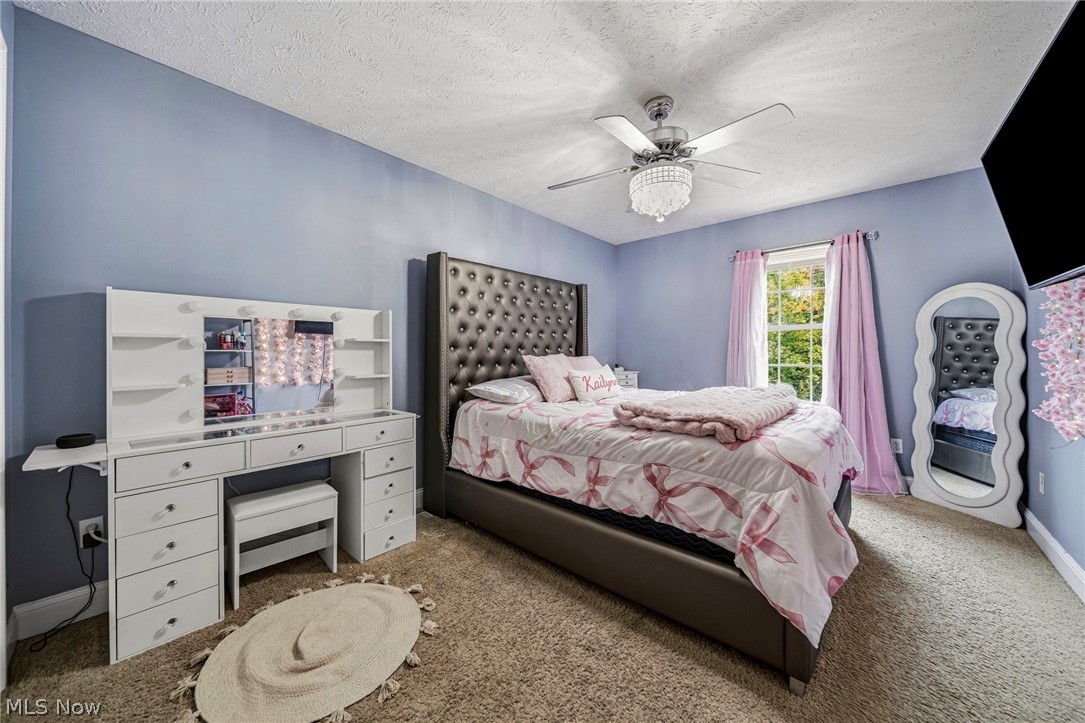 1121 Ashview Drive Madison OH 44057