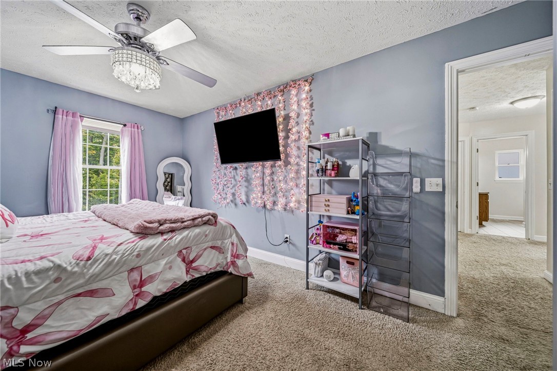 1121 Ashview Drive Madison OH 44057
