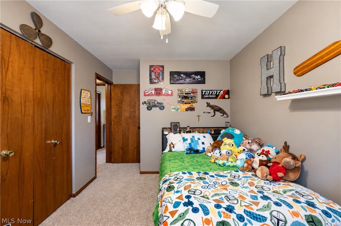 171 Fair Meadow Drive Austintown OH 44515