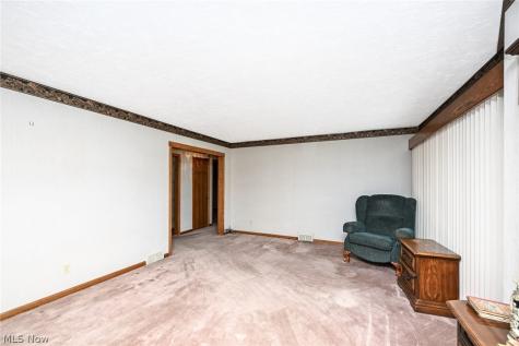 105 Grove Street Lodi OH 44254