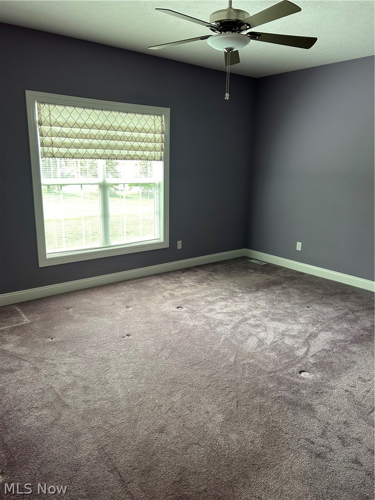 8415 Bella Drive Macedonia OH 44056